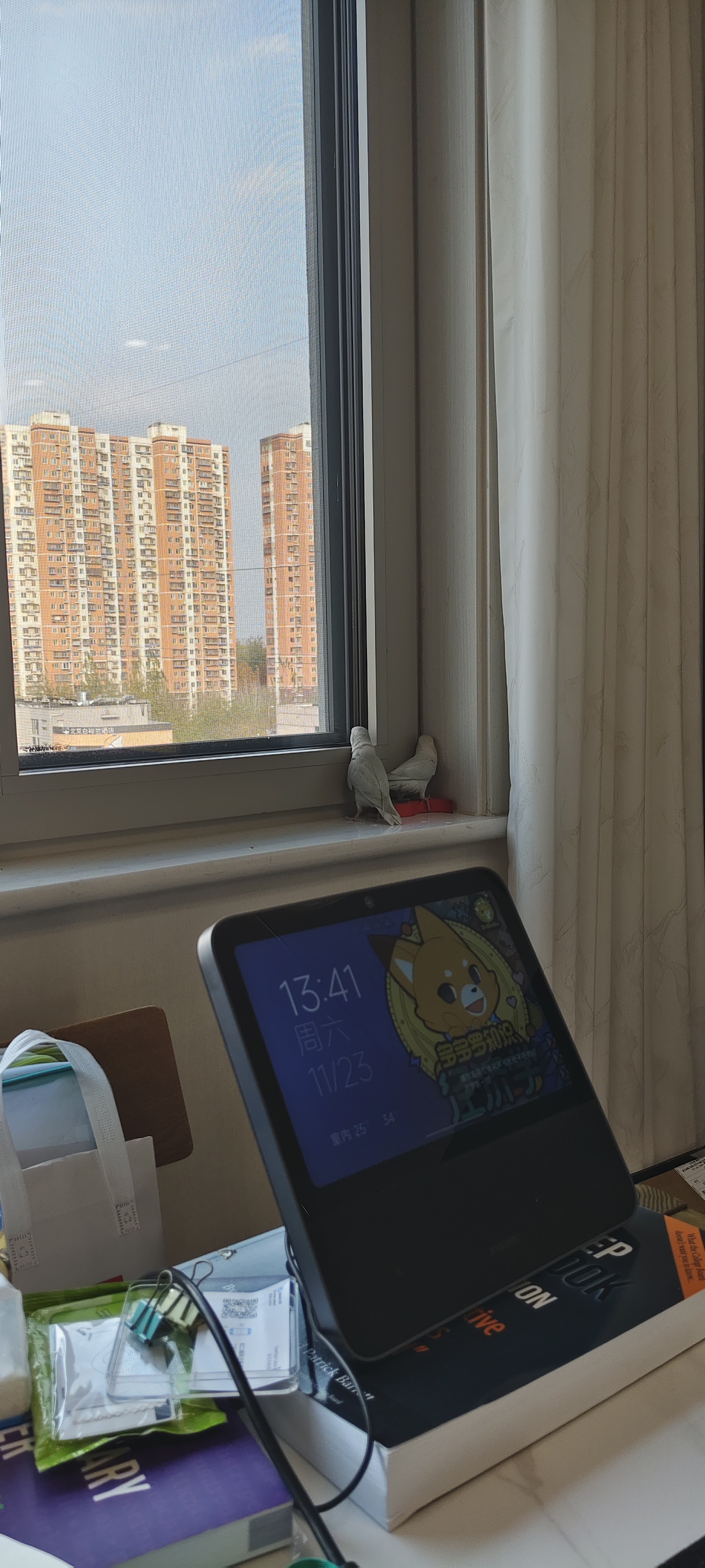 窗边停驻的两只小鸟与楼景